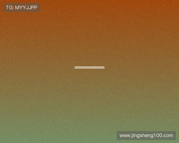 子弹在飞：一场关于速度、选择与命运的沉思